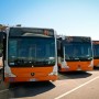 Buses