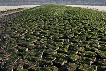 Water management