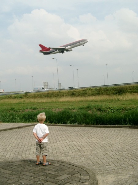 Schiphol Geese