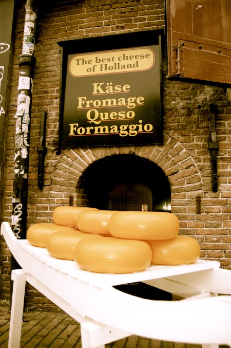 Dutch cheese
