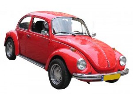 Beetle