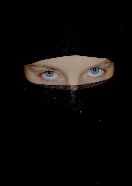 Burqa ban