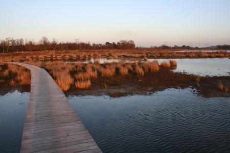 Loon op Zand, Kaatsheuvel en De Moer