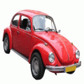 Beetle