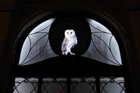 Trajectum Lumen