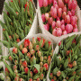 De Fleurist 