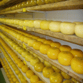 Liquorice and Cheese