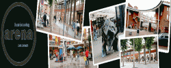 De Arena