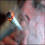 High Times in Holland