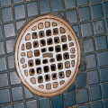 Sewage Spotting