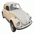 Beetle