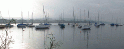 Lake Zurich