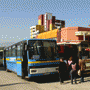 Buses