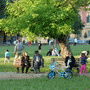 Rinia Park