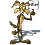 Coyote