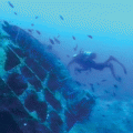 Diving