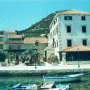 Ostrea