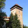 Dubovac Castle