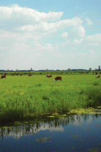National and Natural parks