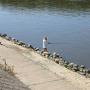 The Drava riverfront