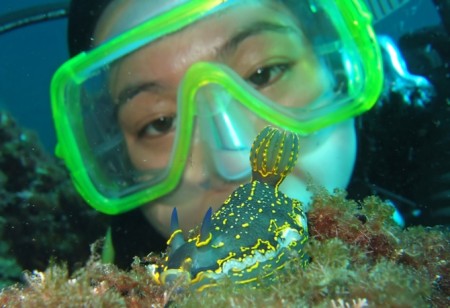 Diving in the Adriatic