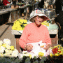 Green Market