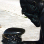 Statue of Špiro Brusina
