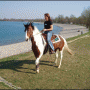 Jarun Equestrian Club