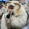 A Parade of Carnivals!