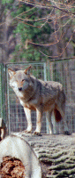 City Zoo