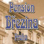 Březina
