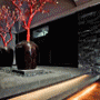 Chedi