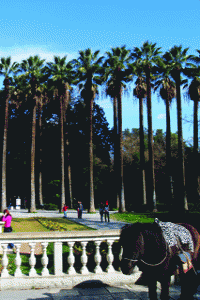 Gardens & Parks