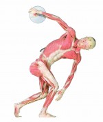 Events & Festivals in February & March 2012