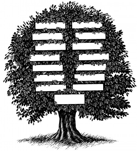 The Irish roots in your family tree