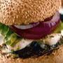 Gourmet Burger Company