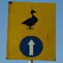 Arrival & Transport