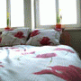 Central Hostel