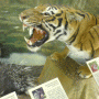 Natural History Museum of Latvia
