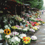 Flower Market