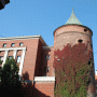 Museum of War