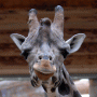 Riga National Zoo