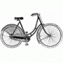 Seaside cycling