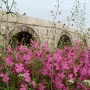 Stone Bridge