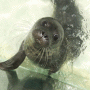 Exploris