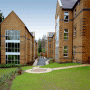 Queen's Elms