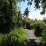 Lagan Valley Regional Park