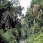 Seaforde Gardens and Tropical Butterfly House