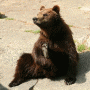 Zoo