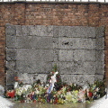 Visiting Auschwitz